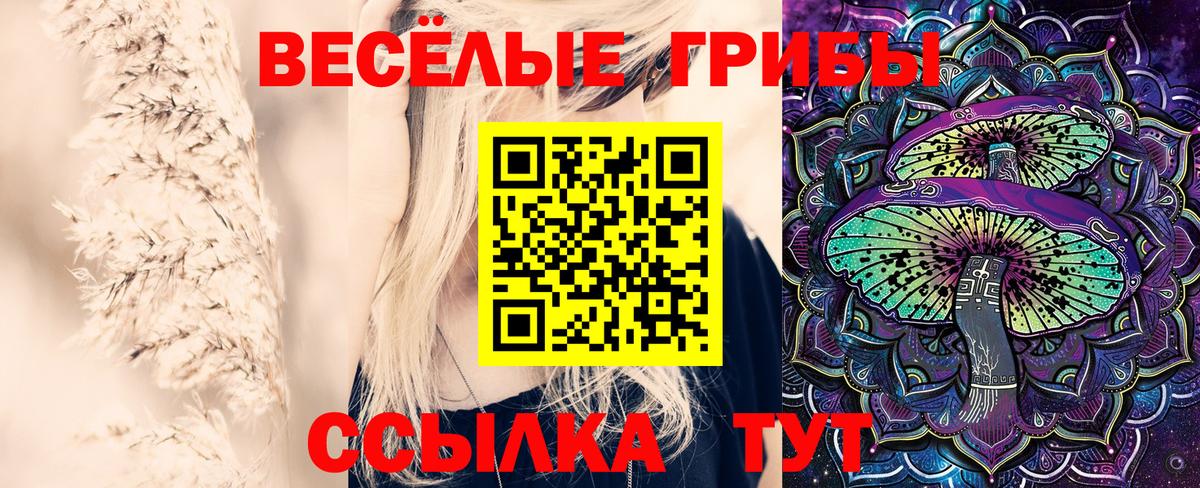 Лесозаводск  Галлюциногенные грибы прущие грибы  Галлюциногенные грибы Psilocybine cubensis  Вход с VPN 